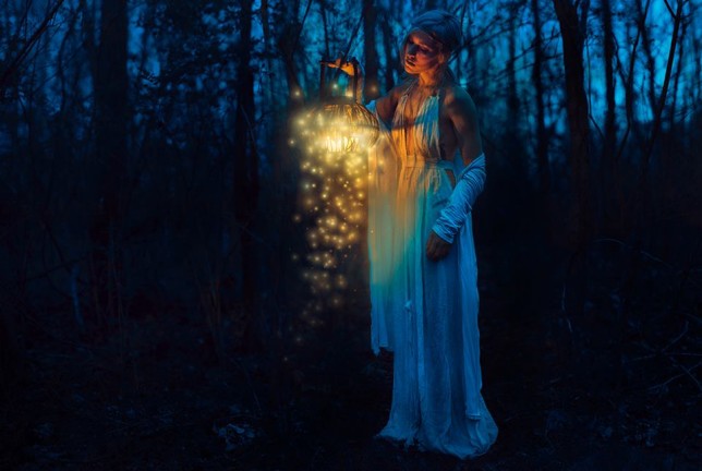 Kindra Nikole Photography
